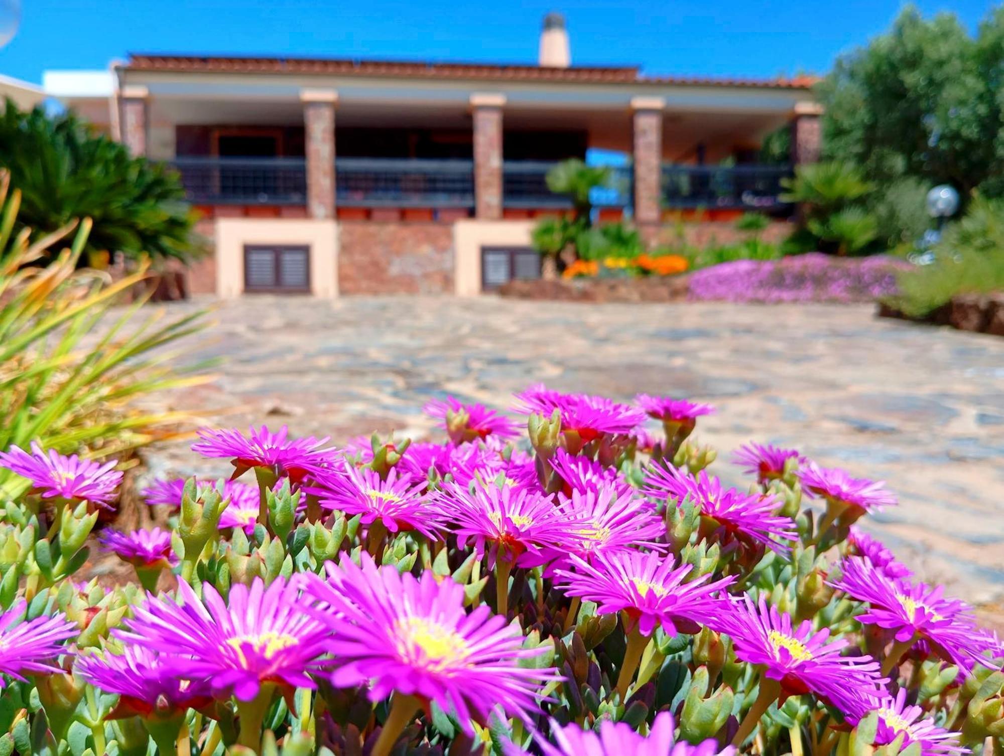 Alghero Villa Barranch With Sea View Swimming Pool For 6 People エクステリア 写真